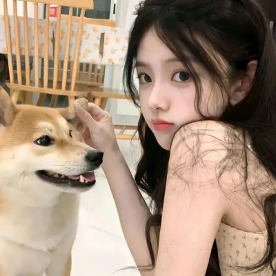若如初见