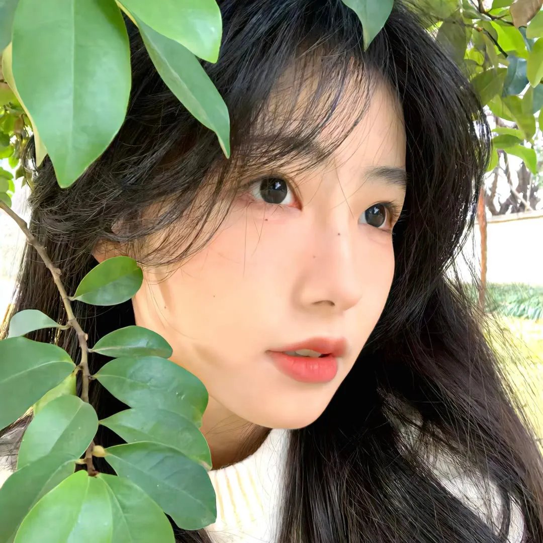 北极光